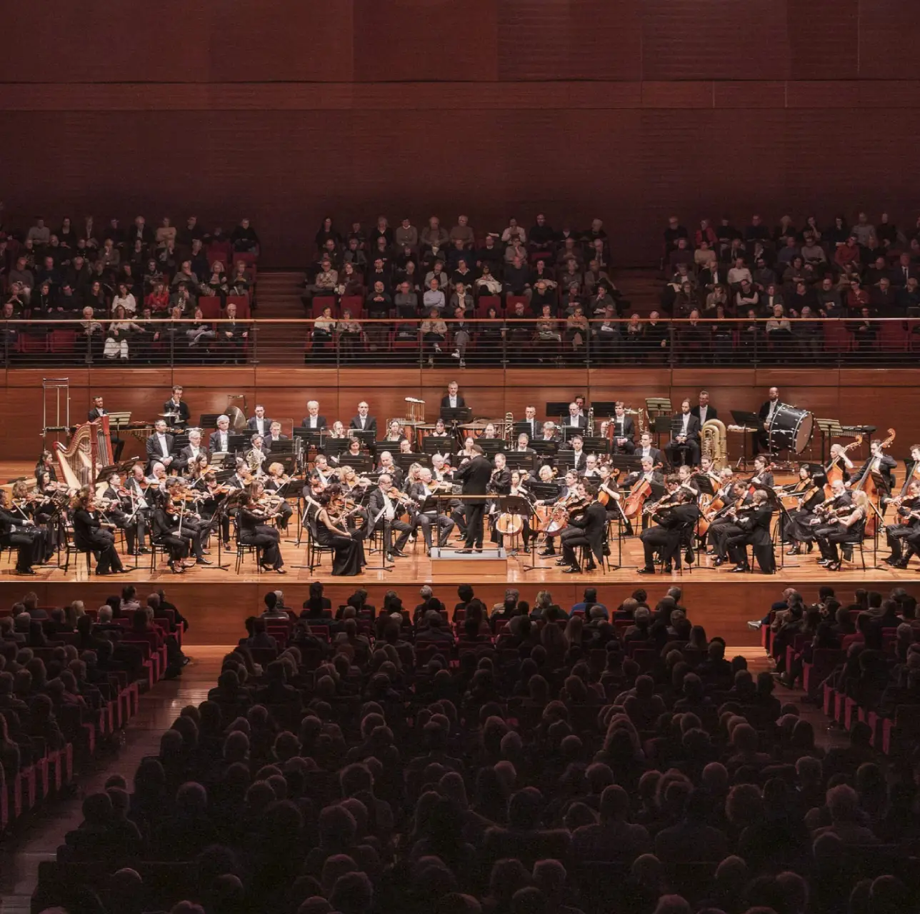 lingotto-musica Concerto dal vivo all’Auditorium Lingotto Torino: orchestra sinfonica sul palco, pubblico numeroso e sala in legno